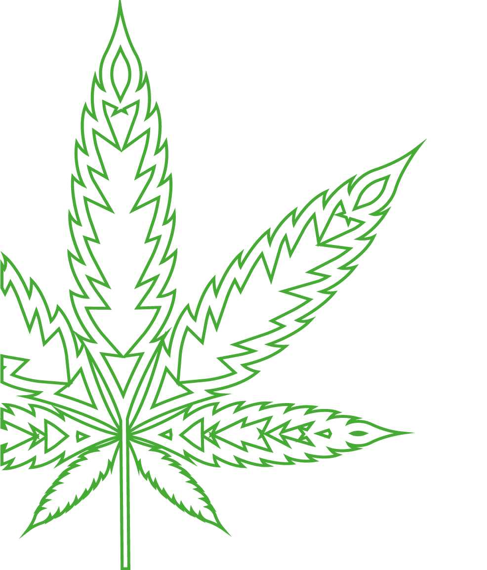 SATIVA
